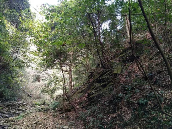 如数甲珍，颈益求精|显微智能斩获好评，甲状腺肿瘤学术盛会圆满结束