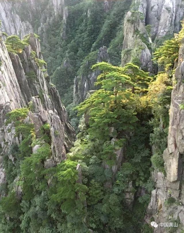 3D冰球对抗赛