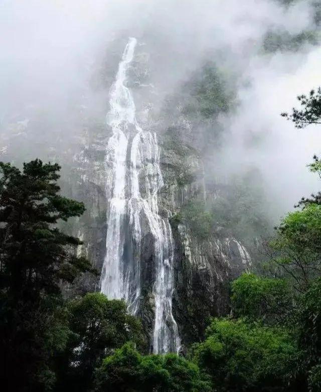 解救金刚鹦鹉