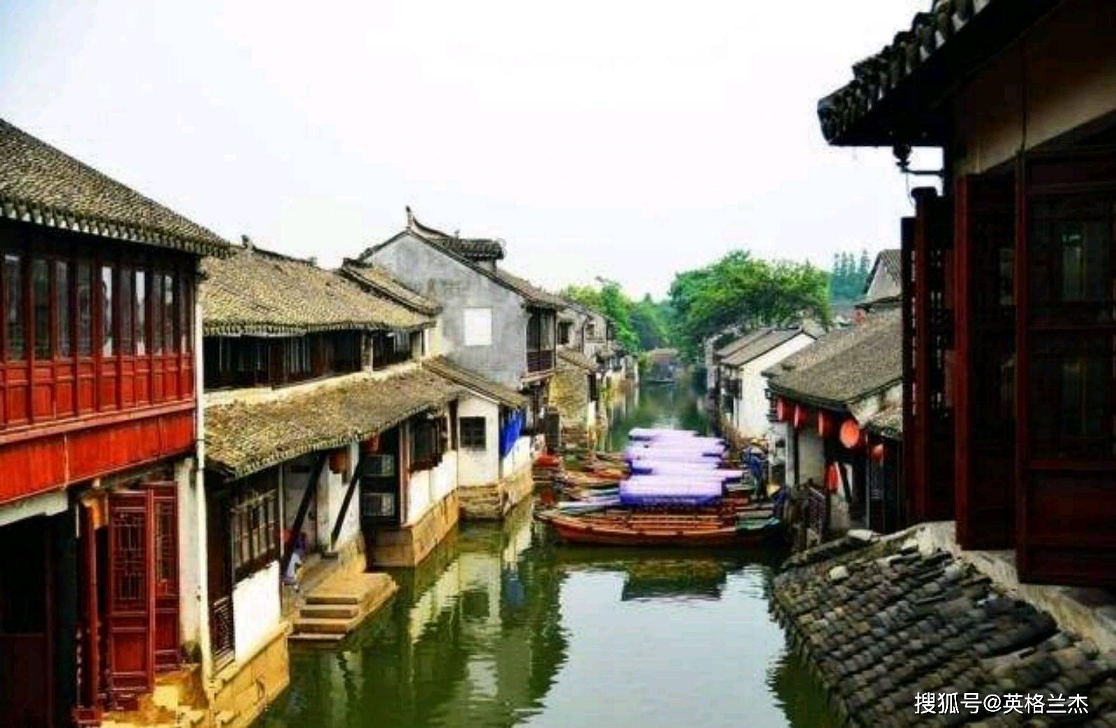 网红白狐狸遭遇“滑铁卢”，独自躲在角落里生闷气
